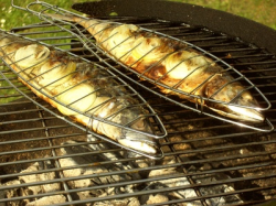 Fisch grillen - Tipps und Rezepte Küchengötter